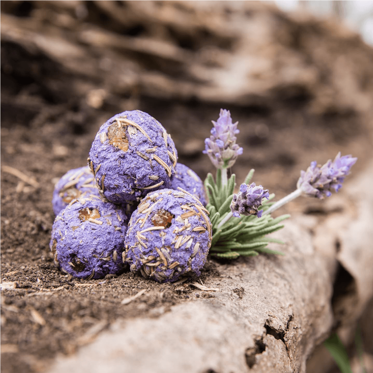 Bombita Premium - Olívano Lavanda x 8