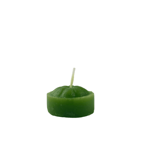 Velas Noche Cubo Aromatica (008A) - Citronella Antimosquito Pack 12