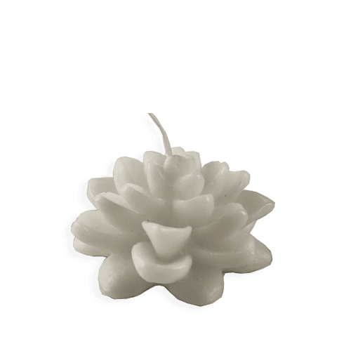 Flor de Loto - Blanco (030A)