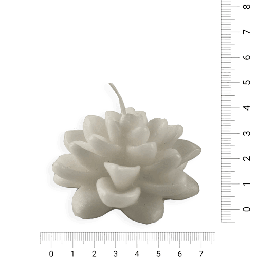 Flor de Loto - Blanco (030A)