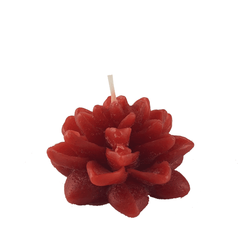 Flor de Loto - Rojo (030A)