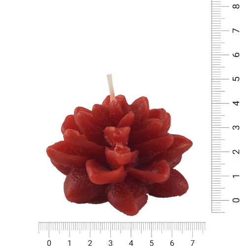 Flor de Loto - Rojo (030A)