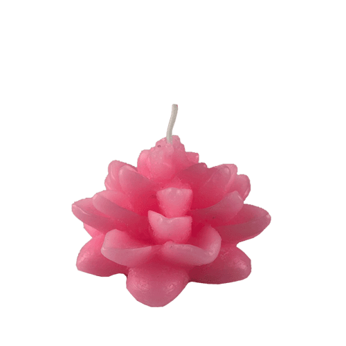 Flor de Loto - Rosa (030A)