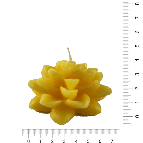 Flor de Loto - Amarillo (030A)