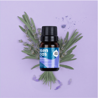 Lavanda