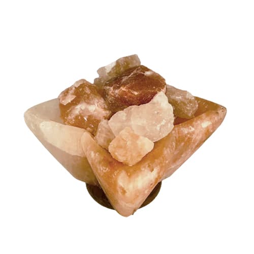 Lámpara de Sal del Himalaya Flower Bowl LS031